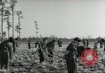 Immagine di Negro ragazzi Hardeeville South Carolina USA, 1939, secondo 6 filmato di repertorio 65675066766