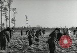 Immagine di Negro ragazzi Hardeeville South Carolina USA, 1939, secondo 8 filmato di repertorio 65675066766