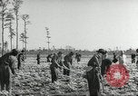Immagine di Negro ragazzi Hardeeville South Carolina USA, 1939, secondo 9 filmato di repertorio 65675066766