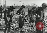 Immagine di Negro ragazzi Hardeeville South Carolina USA, 1939, secondo 10 filmato di repertorio 65675066766