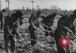 Immagine di Negro ragazzi Hardeeville South Carolina USA, 1939, secondo 11 filmato di repertorio 65675066766