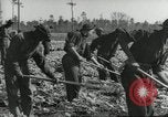 Immagine di Negro ragazzi Hardeeville South Carolina USA, 1939, secondo 12 filmato di repertorio 65675066766