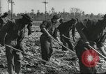 Immagine di Negro ragazzi Hardeeville South Carolina USA, 1939, secondo 13 filmato di repertorio 65675066766