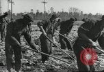 Immagine di Negro ragazzi Hardeeville South Carolina USA, 1939, secondo 14 filmato di repertorio 65675066766