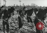 Immagine di Negro ragazzi Hardeeville South Carolina USA, 1939, secondo 15 filmato di repertorio 65675066766