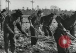 Immagine di Negro ragazzi Hardeeville South Carolina USA, 1939, secondo 16 filmato di repertorio 65675066766