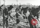 Immagine di Negro ragazzi Hardeeville South Carolina USA, 1939, secondo 17 filmato di repertorio 65675066766