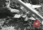 Immagine di Negro ragazzi Hardeeville South Carolina USA, 1939, secondo 19 filmato di repertorio 65675066766