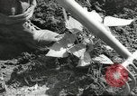 Immagine di Negro ragazzi Hardeeville South Carolina USA, 1939, secondo 20 filmato di repertorio 65675066766