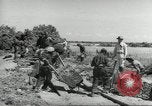 Immagine di Negro ragazzi Hardeeville South Carolina USA, 1939, secondo 35 filmato di repertorio 65675066766
