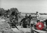 Immagine di Negro ragazzi Hardeeville South Carolina USA, 1939, secondo 41 filmato di repertorio 65675066766