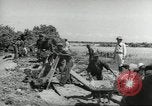Immagine di Negro ragazzi Hardeeville South Carolina USA, 1939, secondo 43 filmato di repertorio 65675066766