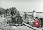 Immagine di Negro ragazzi Hardeeville South Carolina USA, 1939, secondo 46 filmato di repertorio 65675066766