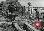 Immagine di Negro ragazzi Hardeeville South Carolina USA, 1939, secondo 47 filmato di repertorio 65675066766