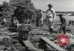 Immagine di Negro ragazzi Hardeeville South Carolina USA, 1939, secondo 48 filmato di repertorio 65675066766