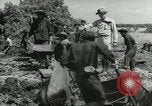 Immagine di Negro ragazzi Hardeeville South Carolina USA, 1939, secondo 50 filmato di repertorio 65675066766