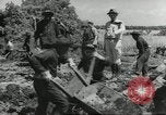 Immagine di Negro ragazzi Hardeeville South Carolina USA, 1939, secondo 51 filmato di repertorio 65675066766