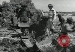 Immagine di Negro ragazzi Hardeeville South Carolina USA, 1939, secondo 52 filmato di repertorio 65675066766