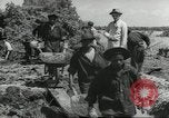 Immagine di Negro ragazzi Hardeeville South Carolina USA, 1939, secondo 57 filmato di repertorio 65675066766