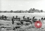 Immagine di Negro ragazzi Hardeeville South Carolina USA, 1939, secondo 60 filmato di repertorio 65675066766