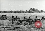 Immagine di Negro ragazzi Hardeeville South Carolina USA, 1939, secondo 61 filmato di repertorio 65675066766