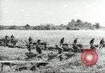Immagine di Negro ragazzi Hardeeville South Carolina USA, 1939, secondo 62 filmato di repertorio 65675066766