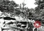 Immagine di Lo zoo comunale Cincinnati Ohio USA, 1930, secondo 11 filmato di repertorio 65675066773