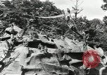 Immagine di Lo zoo comunale Cincinnati Ohio USA, 1930, secondo 17 filmato di repertorio 65675066773