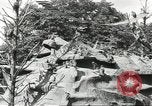 Immagine di Lo zoo comunale Cincinnati Ohio USA, 1930, secondo 22 filmato di repertorio 65675066773