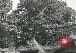 Immagine di Lo zoo comunale Cincinnati Ohio USA, 1930, secondo 28 filmato di repertorio 65675066773