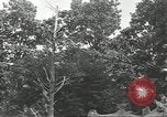 Immagine di Lo zoo comunale Cincinnati Ohio USA, 1930, secondo 31 filmato di repertorio 65675066773