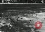 Immagine di Lo zoo comunale Cincinnati Ohio USA, 1930, secondo 34 filmato di repertorio 65675066773