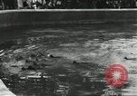 Immagine di Lo zoo comunale Cincinnati Ohio USA, 1930, secondo 35 filmato di repertorio 65675066773