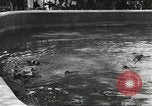 Immagine di Lo zoo comunale Cincinnati Ohio USA, 1930, secondo 36 filmato di repertorio 65675066773