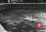 Immagine di Lo zoo comunale Cincinnati Ohio USA, 1930, secondo 37 filmato di repertorio 65675066773