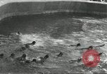 Immagine di Lo zoo comunale Cincinnati Ohio USA, 1930, secondo 39 filmato di repertorio 65675066773