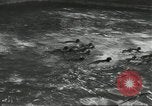 Immagine di Lo zoo comunale Cincinnati Ohio USA, 1930, secondo 43 filmato di repertorio 65675066773