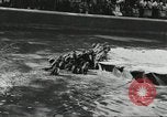 Immagine di Lo zoo comunale Cincinnati Ohio USA, 1930, secondo 49 filmato di repertorio 65675066773