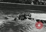 Immagine di Lo zoo comunale Cincinnati Ohio USA, 1930, secondo 52 filmato di repertorio 65675066773