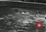 Immagine di Lo zoo comunale Cincinnati Ohio USA, 1930, secondo 59 filmato di repertorio 65675066773