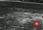 Immagine di Lo zoo comunale Cincinnati Ohio USA, 1930, secondo 60 filmato di repertorio 65675066773