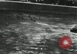 Immagine di Lo zoo comunale Cincinnati Ohio USA, 1930, secondo 61 filmato di repertorio 65675066773