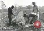 Image of African American students United States USA, 1937, second 60 stock footage video 65675066793