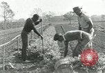 Image of African American students United States USA, 1937, second 61 stock footage video 65675066793