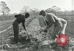 Image of African American students United States USA, 1937, second 62 stock footage video 65675066793