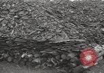 Image of phosphate mine United States USA, 1920, second 6 stock footage video 65675066798