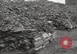 Image of phosphate mine United States USA, 1920, second 10 stock footage video 65675066798