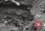 Image of phosphate mine United States USA, 1920, second 21 stock footage video 65675066798