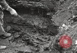 Image of phosphate mine United States USA, 1920, second 43 stock footage video 65675066798