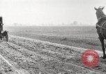 Image of cotton picking United States USA, 1920, second 7 stock footage video 65675066804